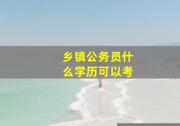 乡镇公务员什么学历可以考