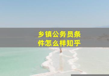 乡镇公务员条件怎么样知乎