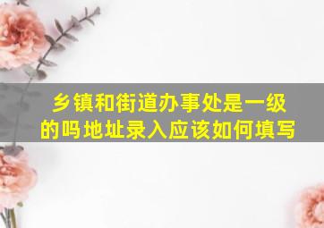 乡镇和街道办事处是一级的吗地址录入应该如何填写