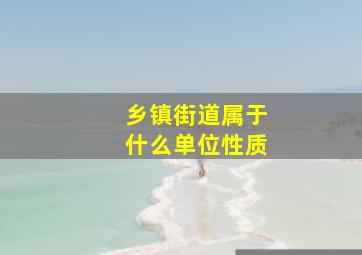 乡镇街道属于什么单位性质