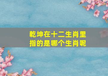 乾坤在十二生肖里指的是哪个生肖呢