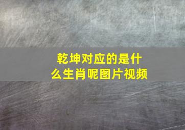 乾坤对应的是什么生肖呢图片视频