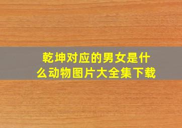 乾坤对应的男女是什么动物图片大全集下载