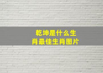 乾坤是什么生肖最佳生肖图片