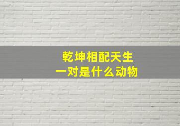 乾坤相配天生一对是什么动物