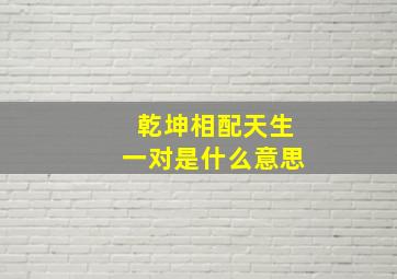 乾坤相配天生一对是什么意思