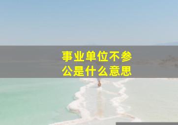 事业单位不参公是什么意思