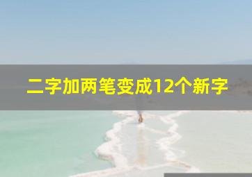 二字加两笔变成12个新字