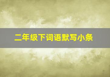 二年级下词语默写小条