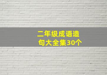 二年级成语造句大全集30个