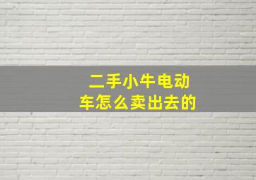 二手小牛电动车怎么卖出去的