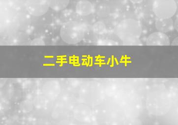 二手电动车小牛