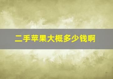 二手苹果大概多少钱啊