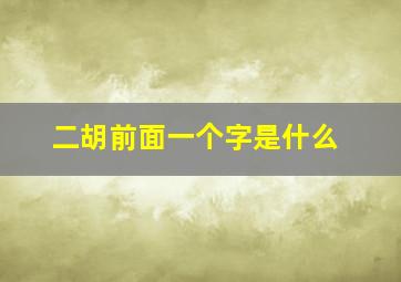 二胡前面一个字是什么