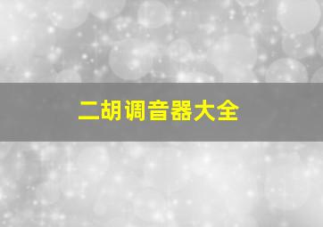 二胡调音器大全