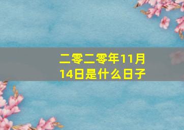 二零二零年11月14日是什么日子