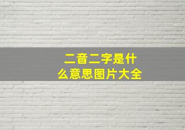 二音二字是什么意思图片大全