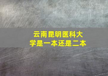 云南昆明医科大学是一本还是二本