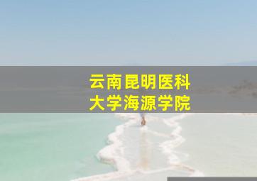 云南昆明医科大学海源学院