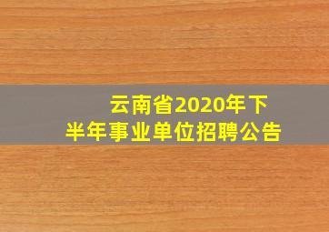 云南省2020年下半年事业单位招聘公告