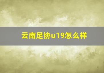 云南足协u19怎么样