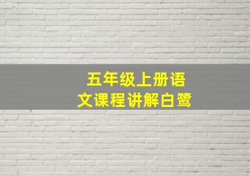 五年级上册语文课程讲解白鹭