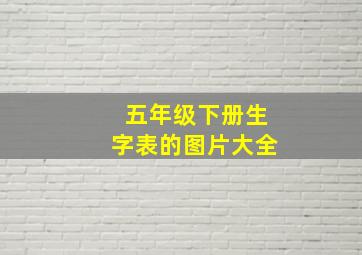 五年级下册生字表的图片大全