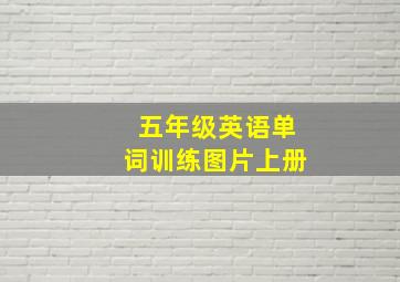 五年级英语单词训练图片上册