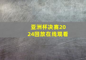 亚洲杯决赛2024回放在线观看