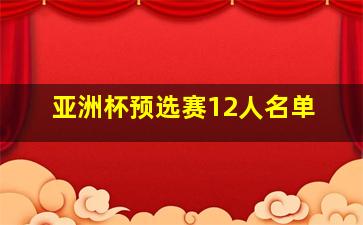 亚洲杯预选赛12人名单