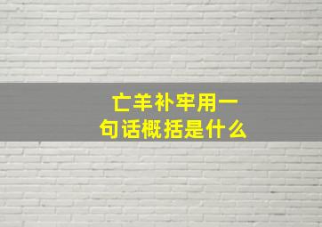 亡羊补牢用一句话概括是什么