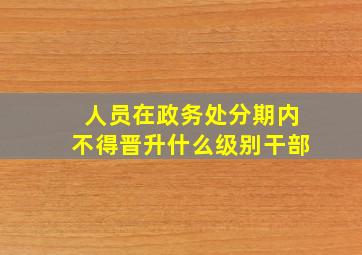 人员在政务处分期内不得晋升什么级别干部