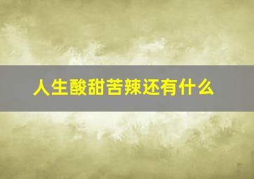 人生酸甜苦辣还有什么