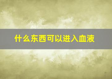 什么东西可以进入血液