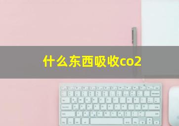 什么东西吸收co2