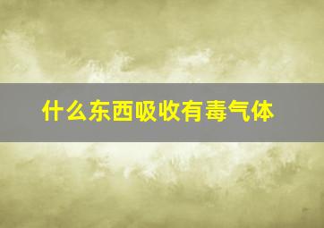 什么东西吸收有毒气体