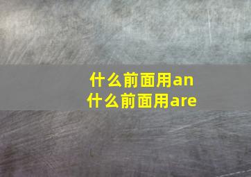 什么前面用an什么前面用are