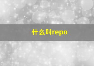 什么叫repo