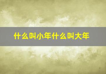 什么叫小年什么叫大年