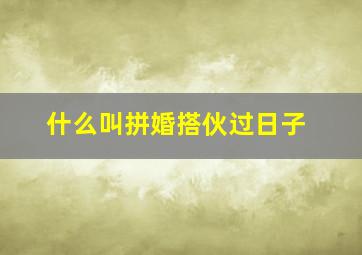 什么叫拼婚搭伙过日子