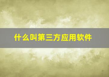 什么叫第三方应用软件