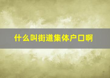 什么叫街道集体户口啊