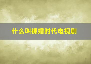 什么叫裸婚时代电视剧