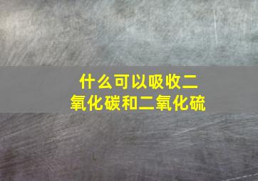 什么可以吸收二氧化碳和二氧化硫