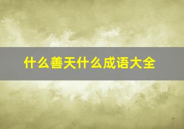 什么善天什么成语大全