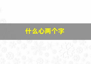 什么心两个字