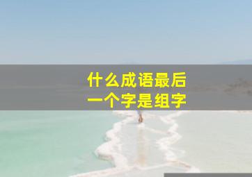 什么成语最后一个字是组字