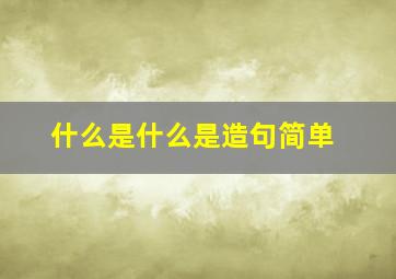 什么是什么是造句简单