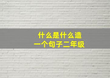 什么是什么造一个句子二年级