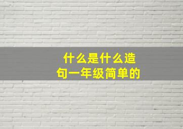 什么是什么造句一年级简单的